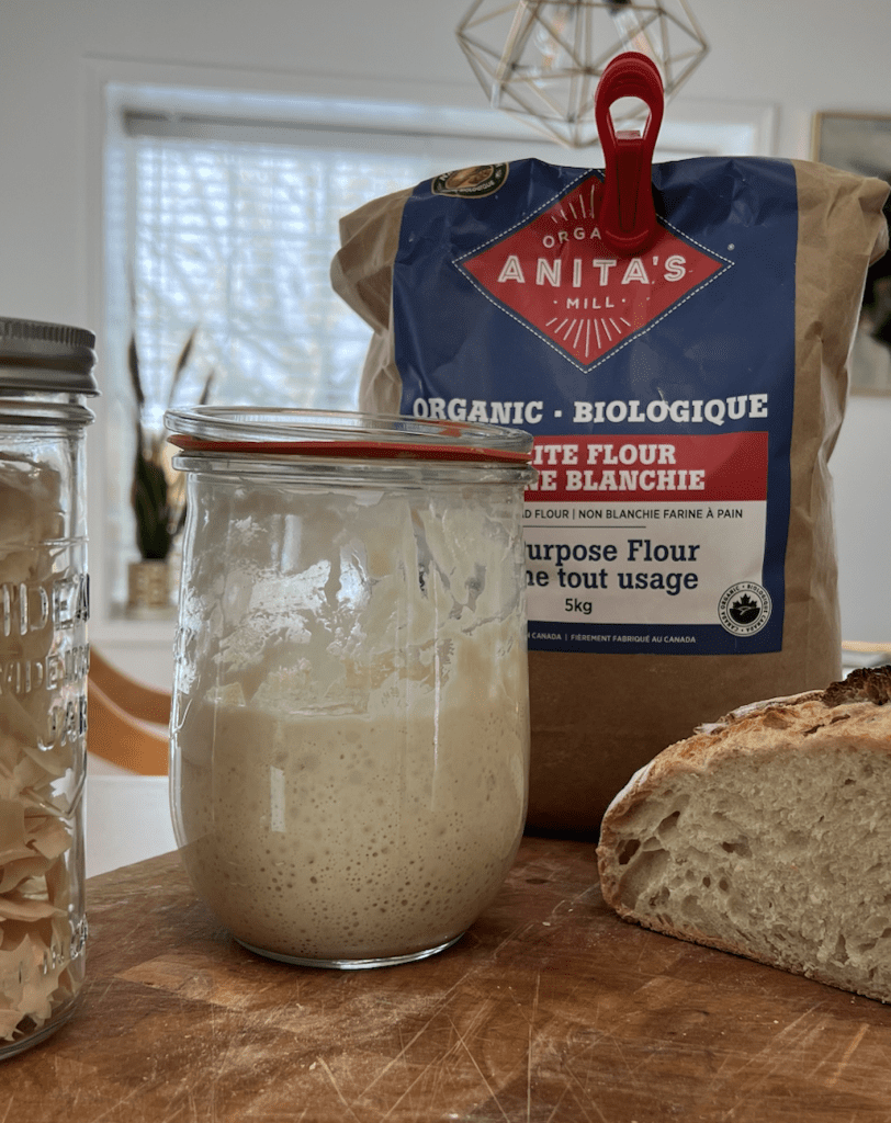 what is sourdough discard and recipes to make with it at home