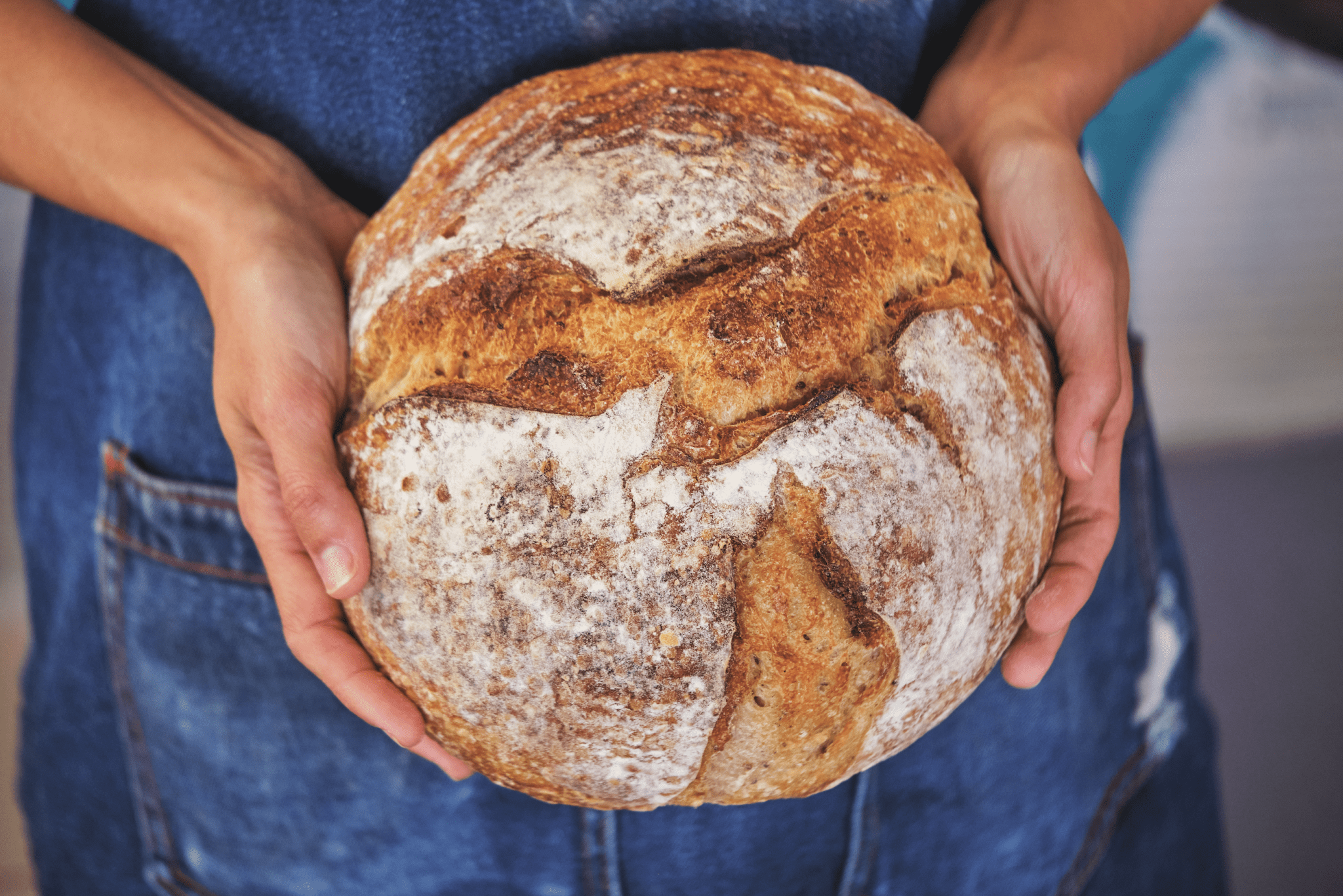 Buy Sourdough Bread Starters Online in Canada HowTo Guide