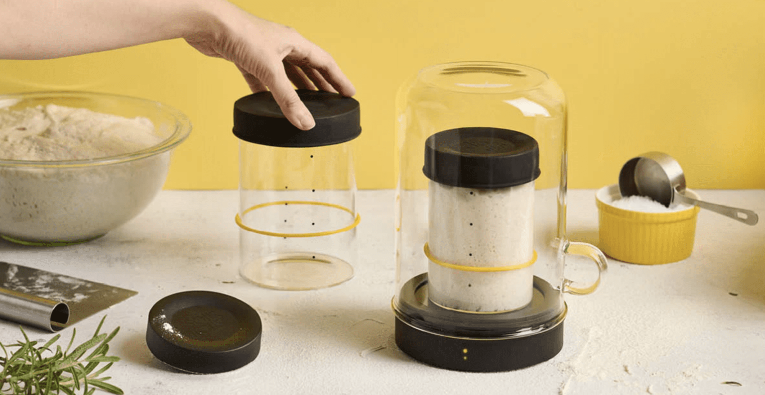 Goldie by Sourhouse Countertop Sourdough Starter Warmer