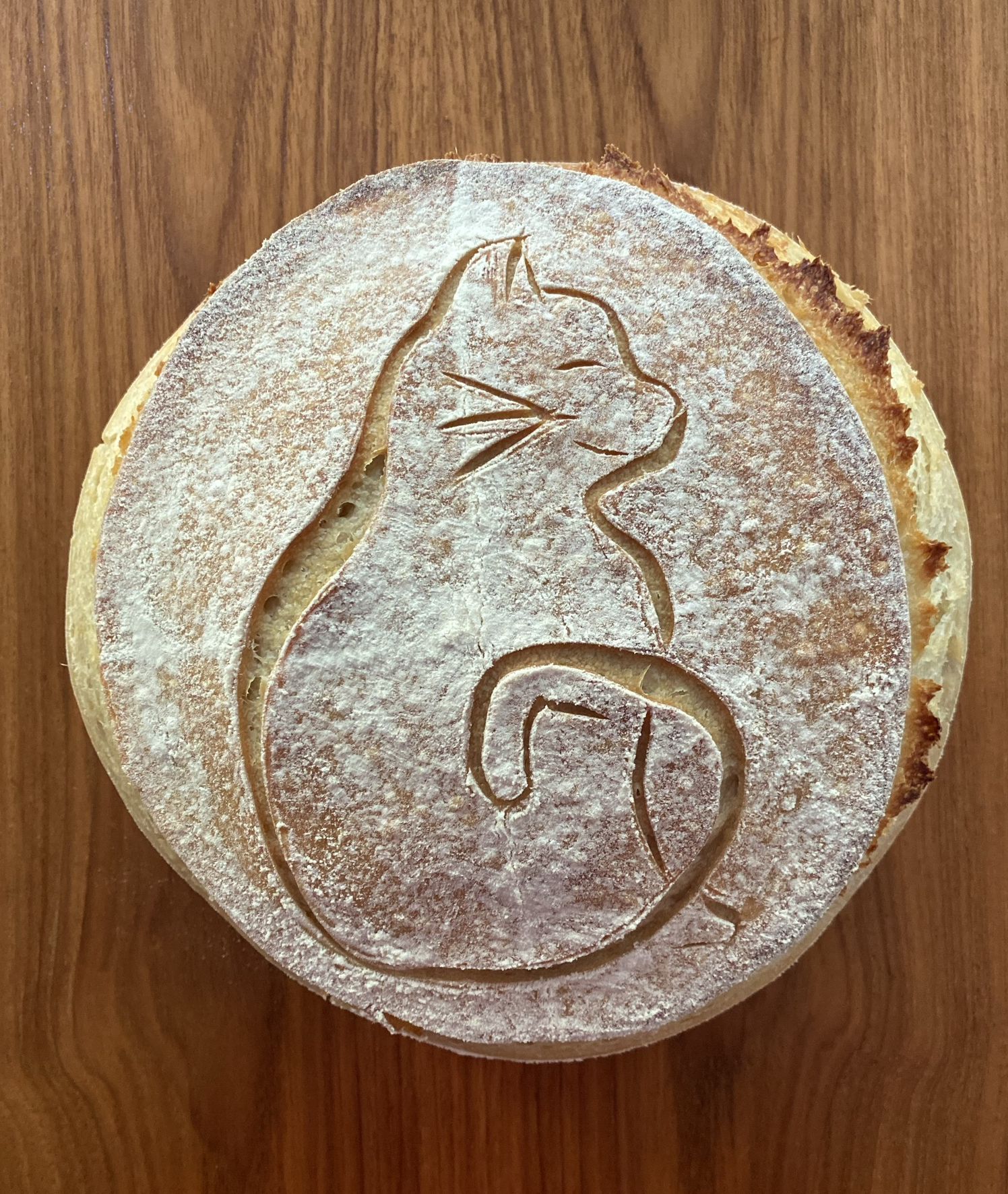 interview with @birdysbread from instagram sourdough bread baker influencer on social media in british columbia canada 2