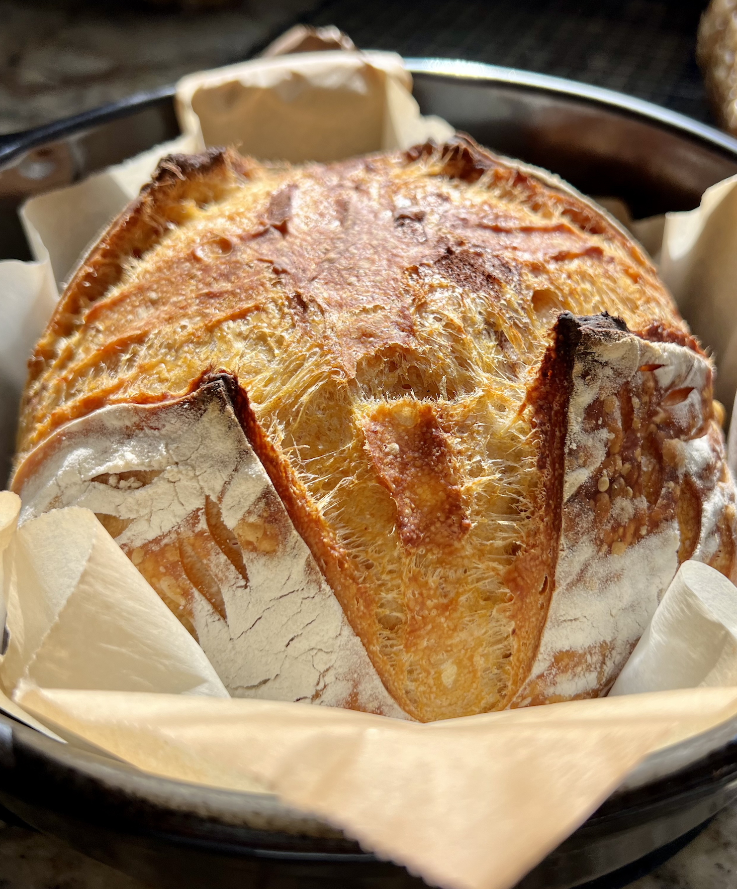 sourdough bread baker recipes classes influencer on social media @amybakesbread in Kentucky United States 5