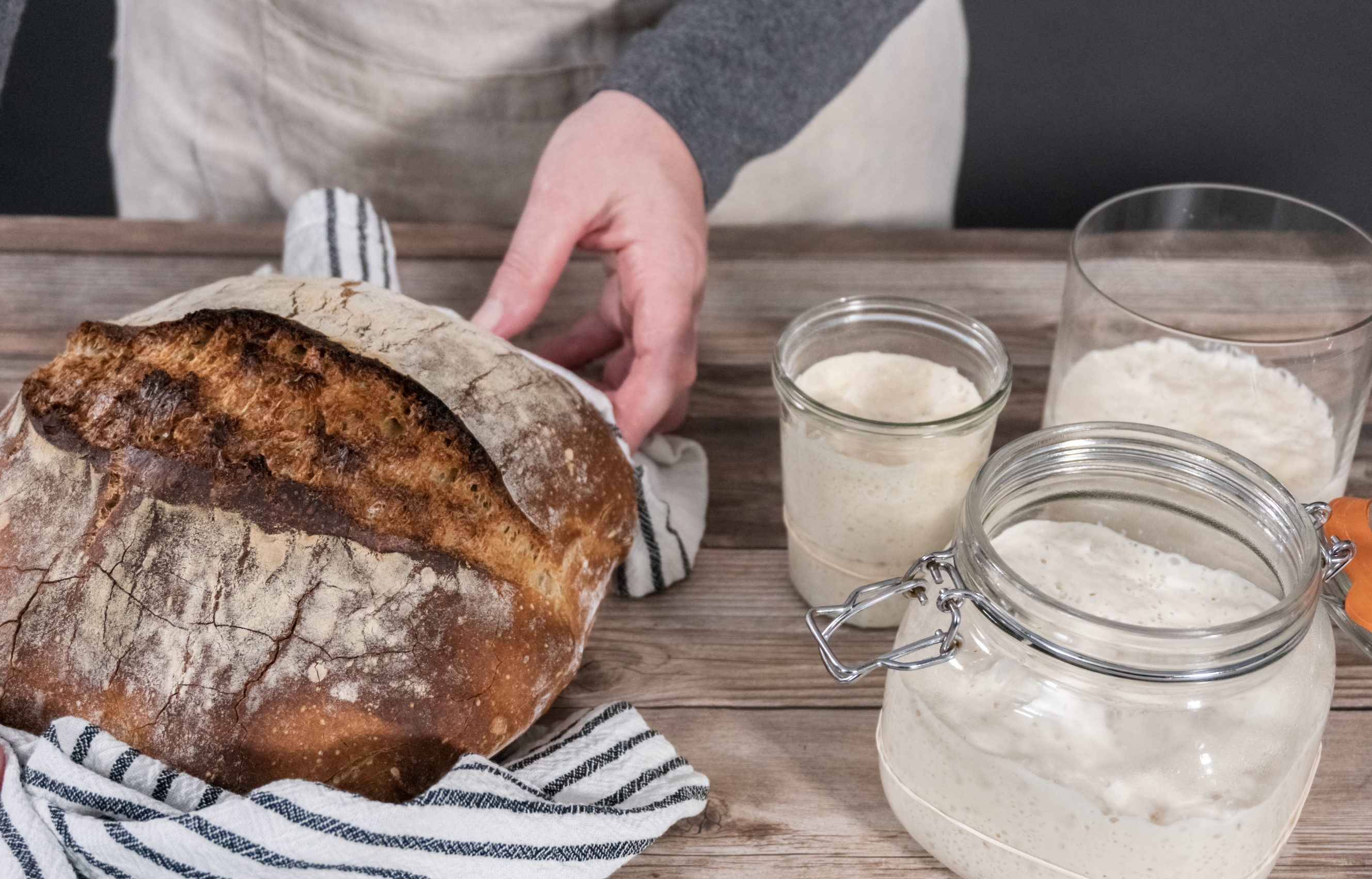 the sourdough people sourdough bread website online in canada with ecommerce products store community recipes industry interviews and brands