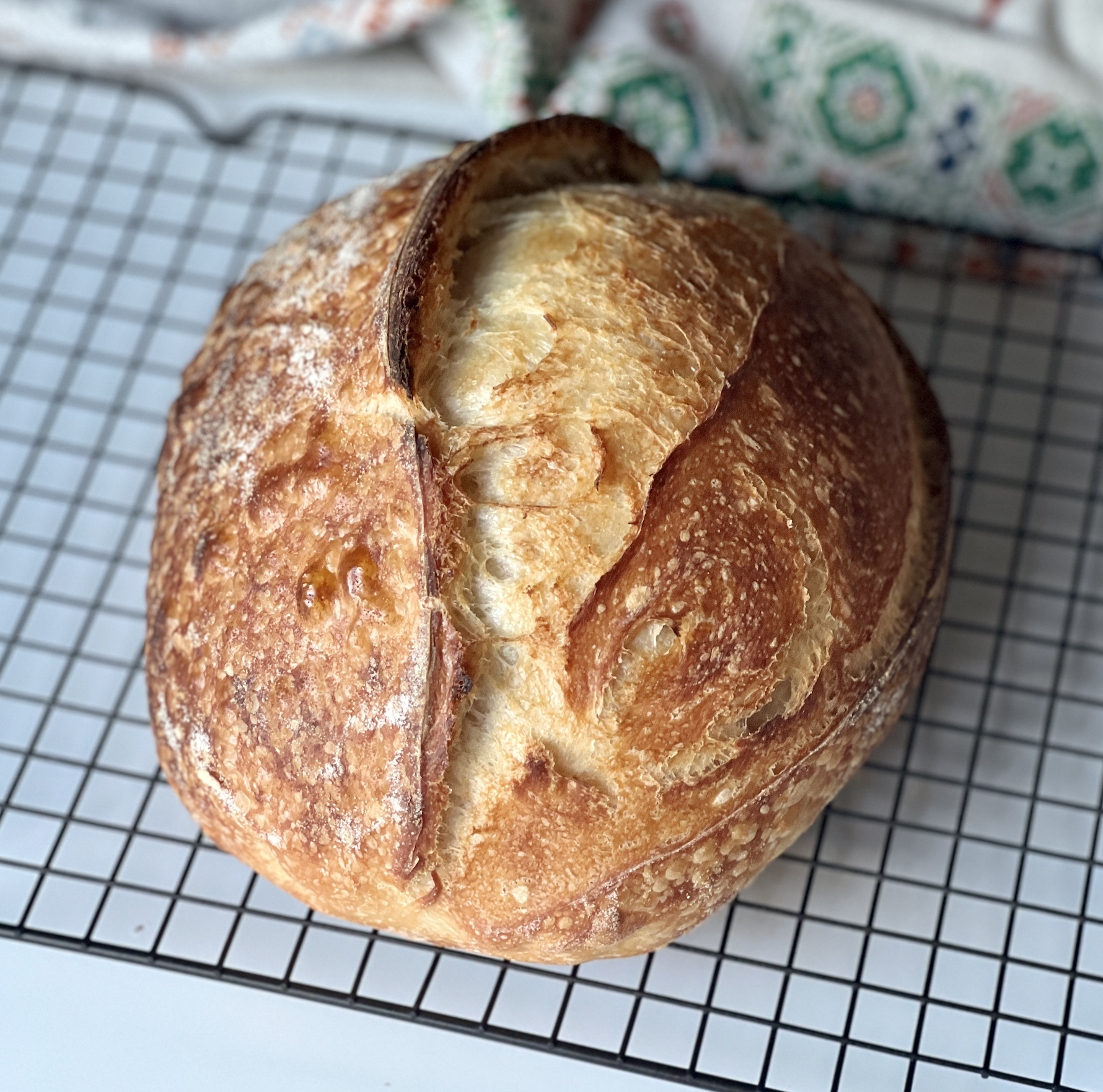sourdough bread social media influencer home baker Samantha interview with The Sourdough People website in Canada 6
