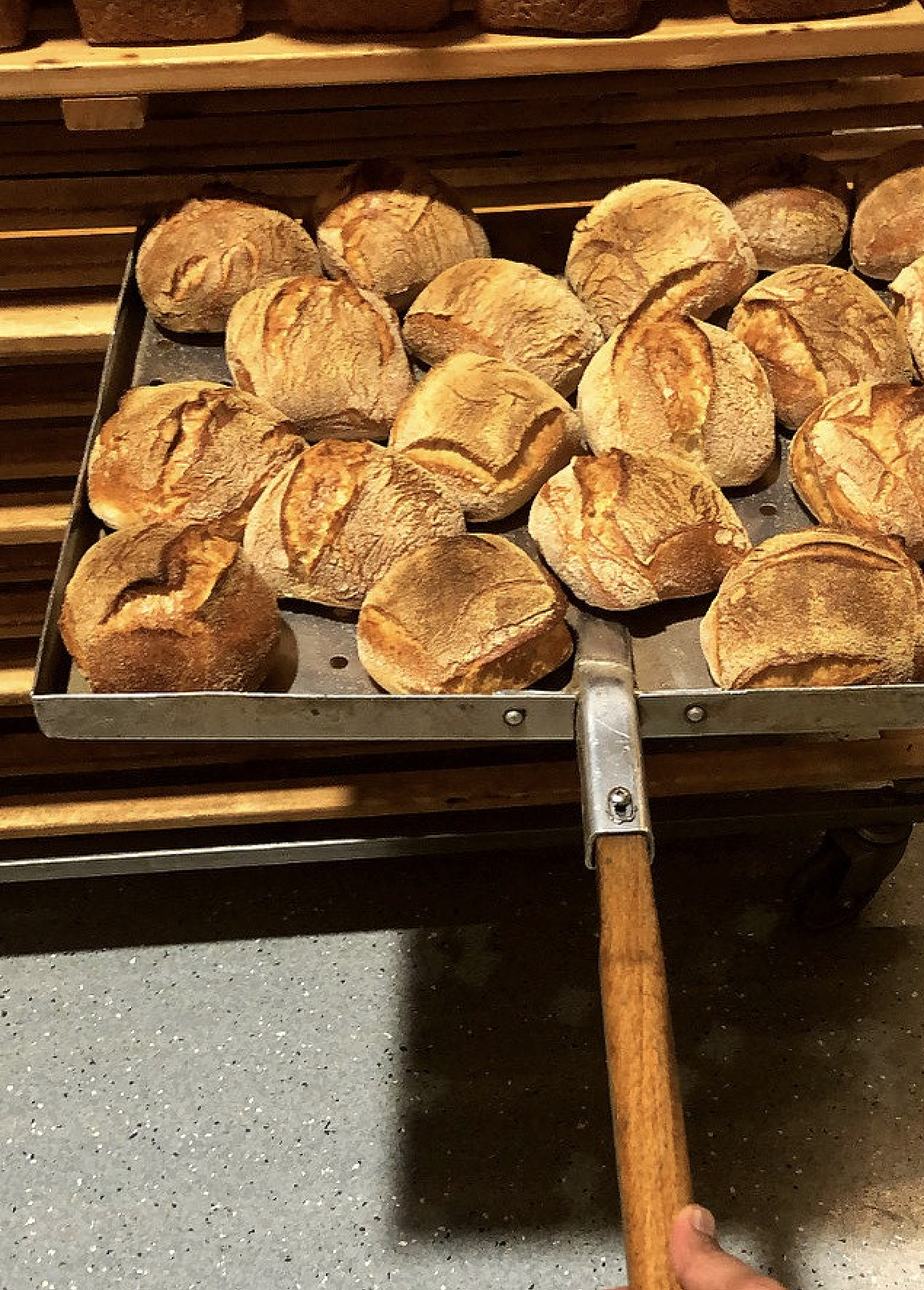 sourdough bread baker influencer Trimandeep @naughty_bread_baker instagram social media Auckland New Zealand 103287