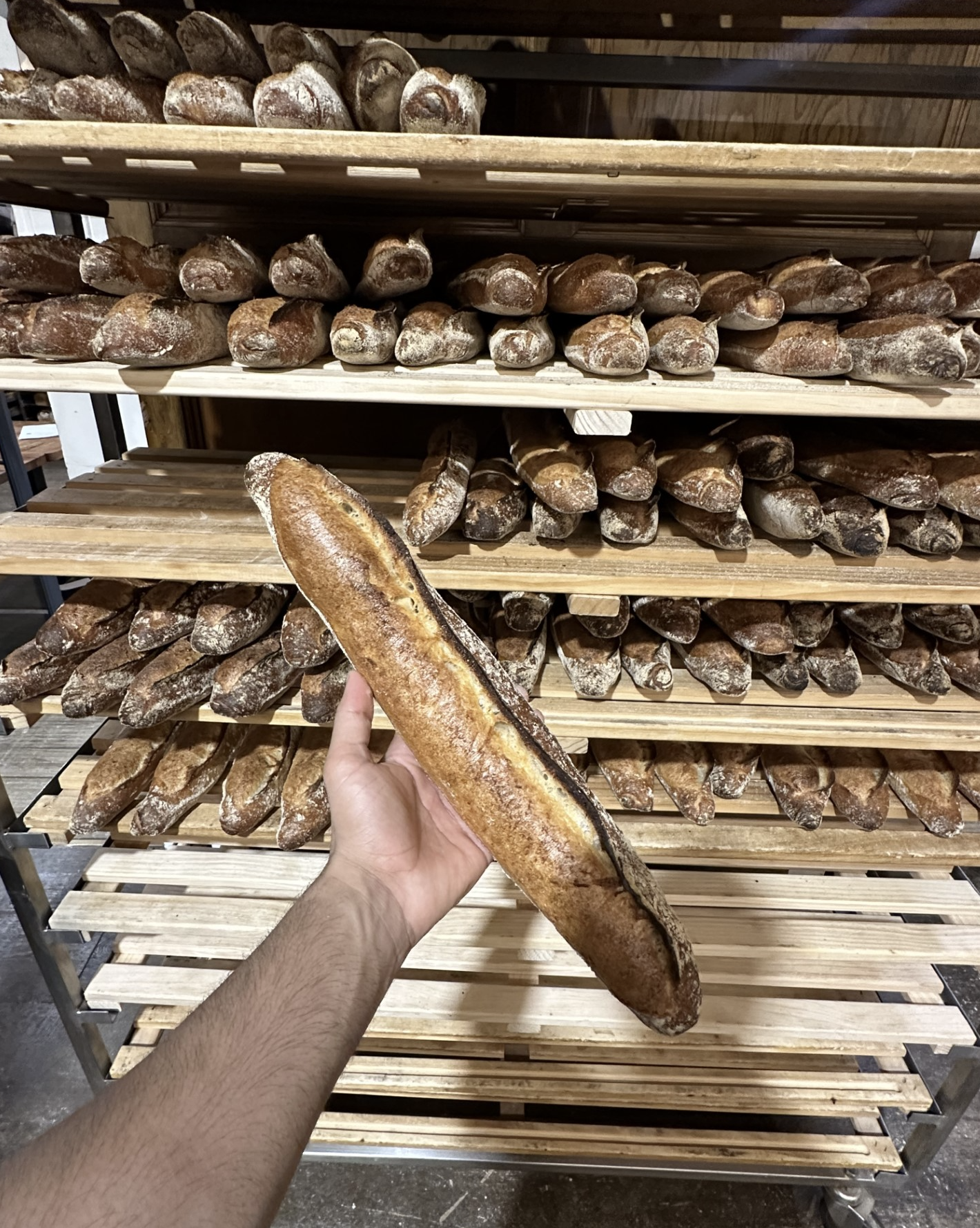 sourdough bread baker influencer Trimandeep @naughty_bread_baker instagram social media Auckland New Zealand 114328