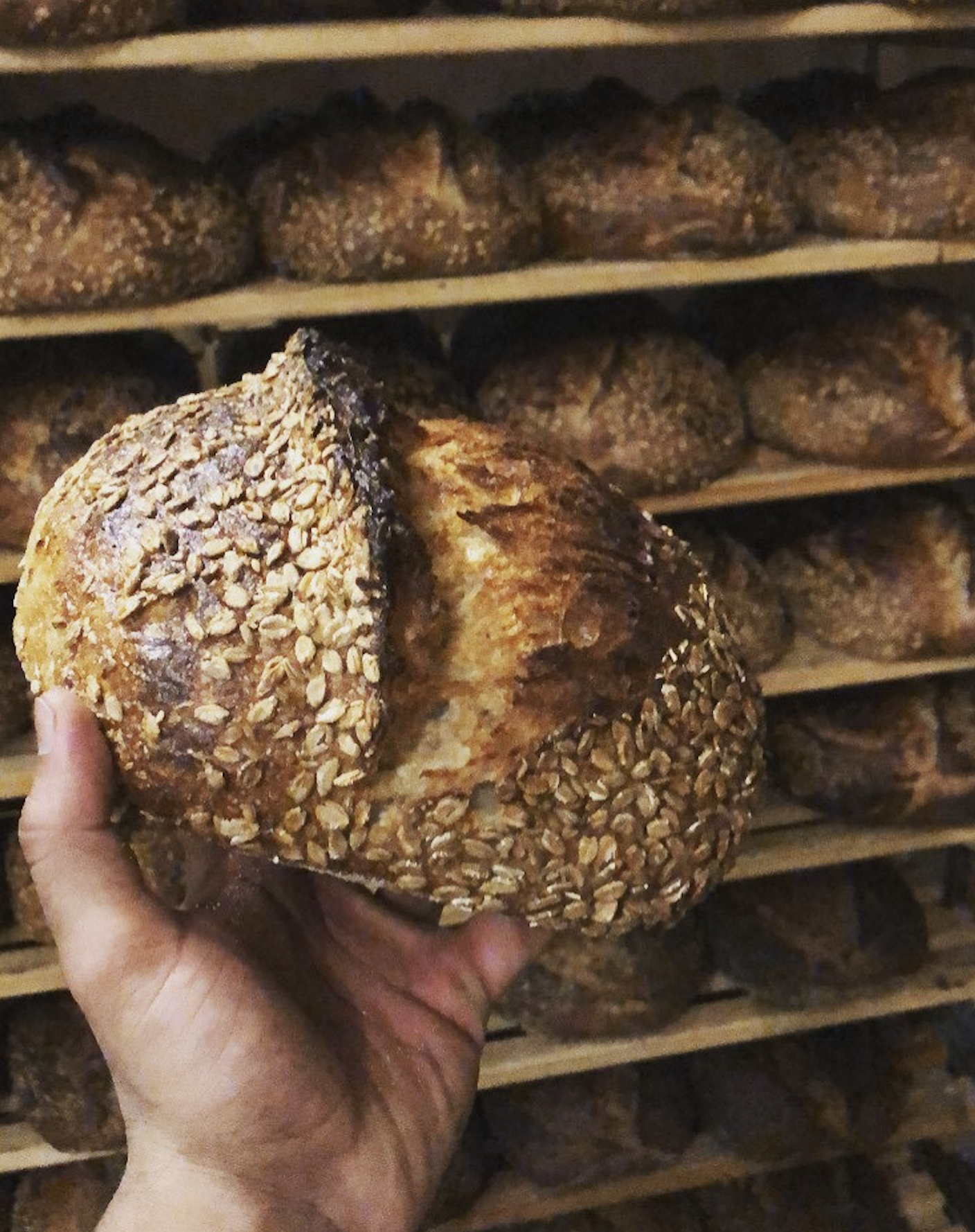 sourdough bread baker influencer Trimandeep @naughty_bread_baker instagram social media Auckland New Zealand 45890