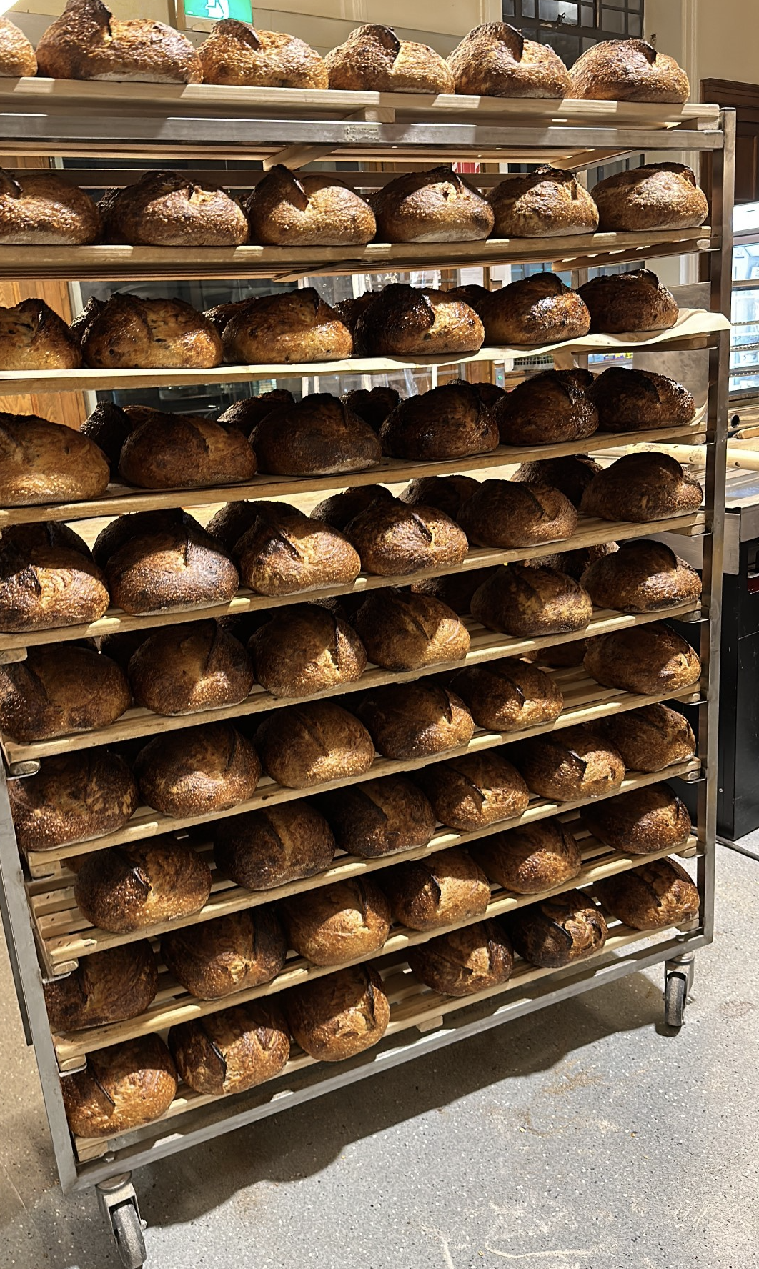 sourdough bread baker influencer Trimandeep @naughty_bread_baker instagram social media Auckland New Zealand 64390