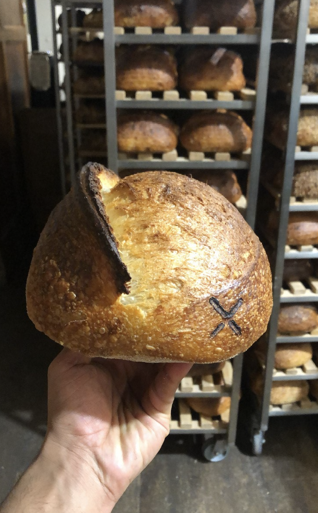 sourdough bread baker influencer Trimandeep @naughty_bread_baker instagram social media Auckland New Zealand 74329