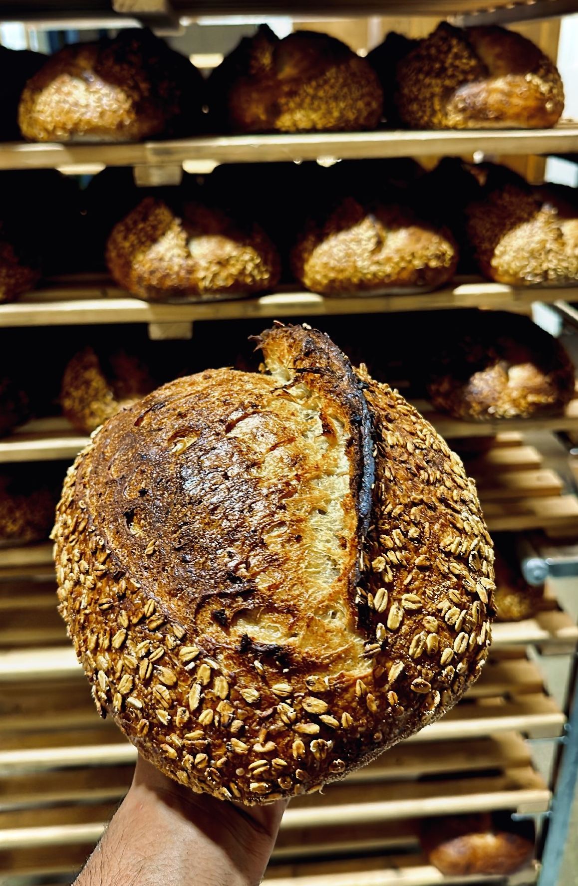 sourdough bread baker influencer Trimandeep @naughty_bread_baker instagram social media Auckland New Zealand 87430