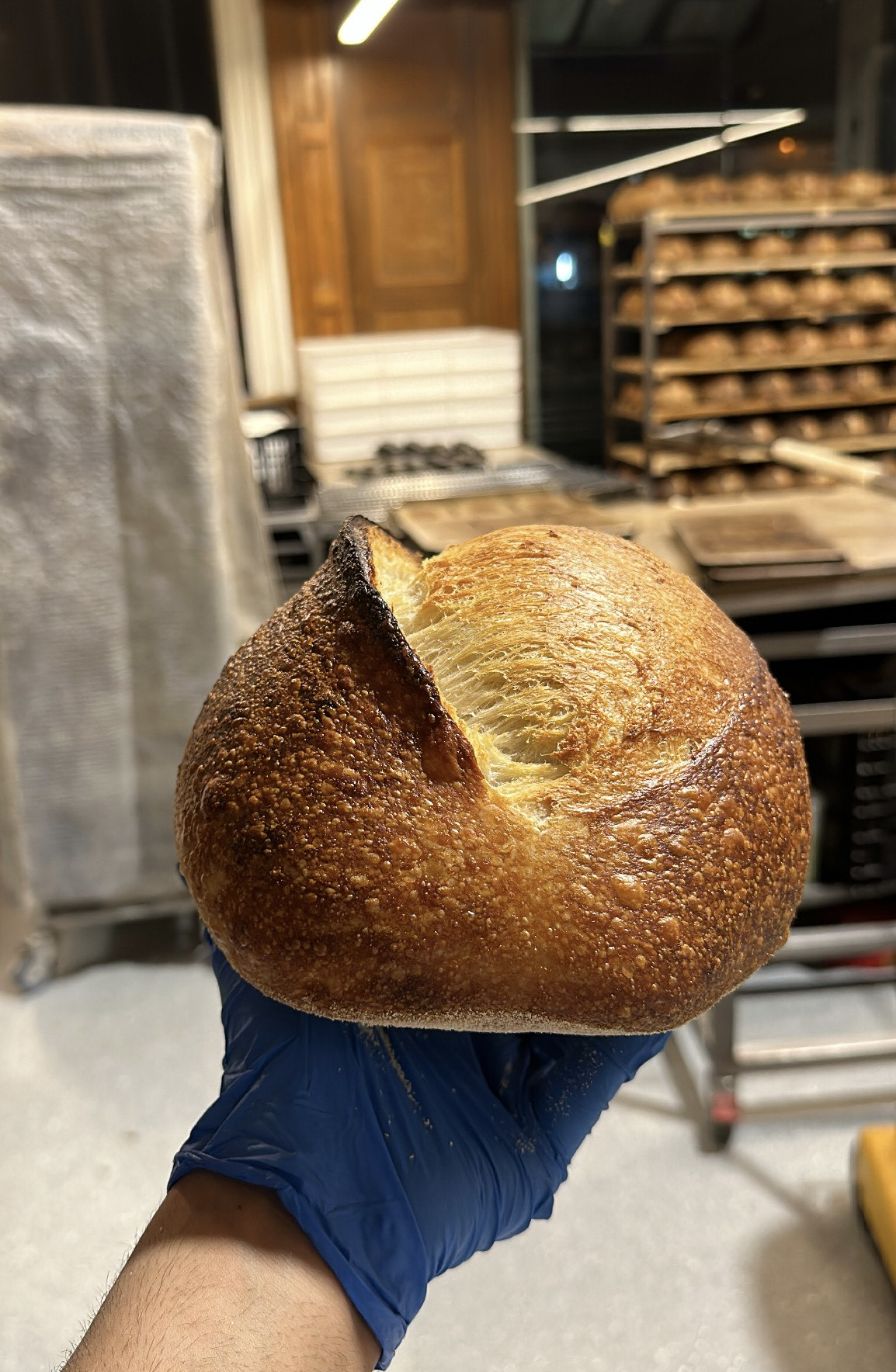 sourdough bread baker influencer Trimandeep @naughty_bread_baker instagram social media Auckland New Zealand 93210