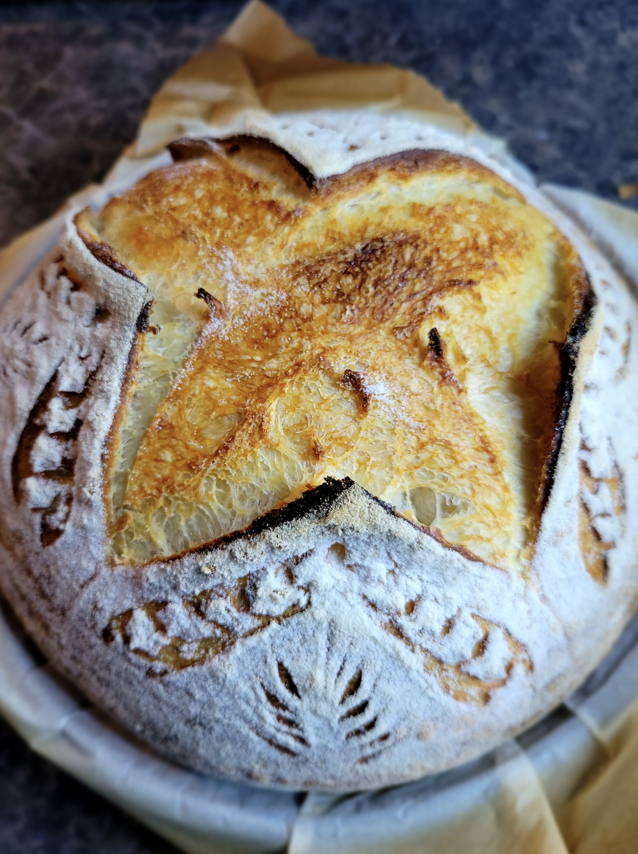 sourdough bread influencer in edmonton alberta canada kristy buy summit sourdough starter online home baker 6