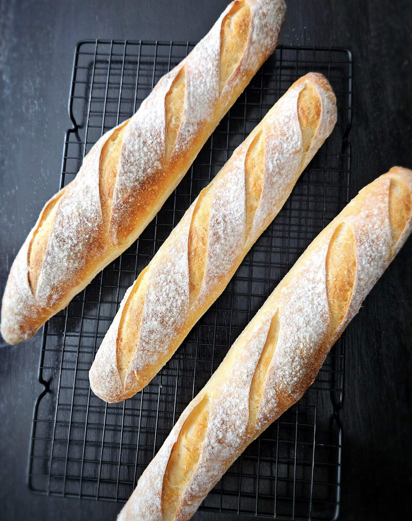 sourdough bread influencer in edmonton alberta canada kristy buy summit sourdough starter online home baker 9