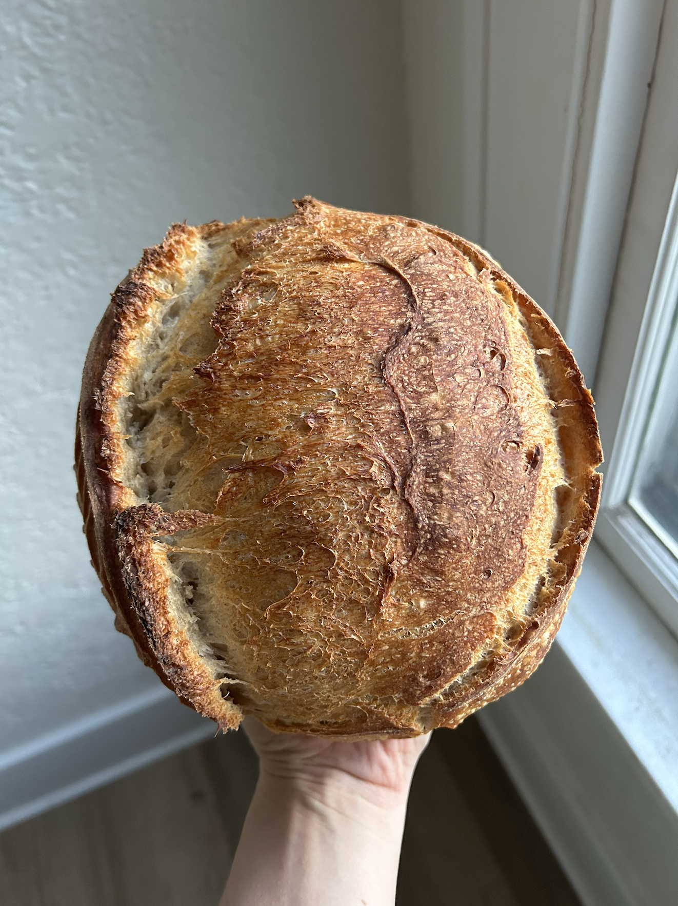sourdough bread instagram influencer aurora illinois united states sourdough bread for sale local loaves of bread from @littlepearlbreads 98310