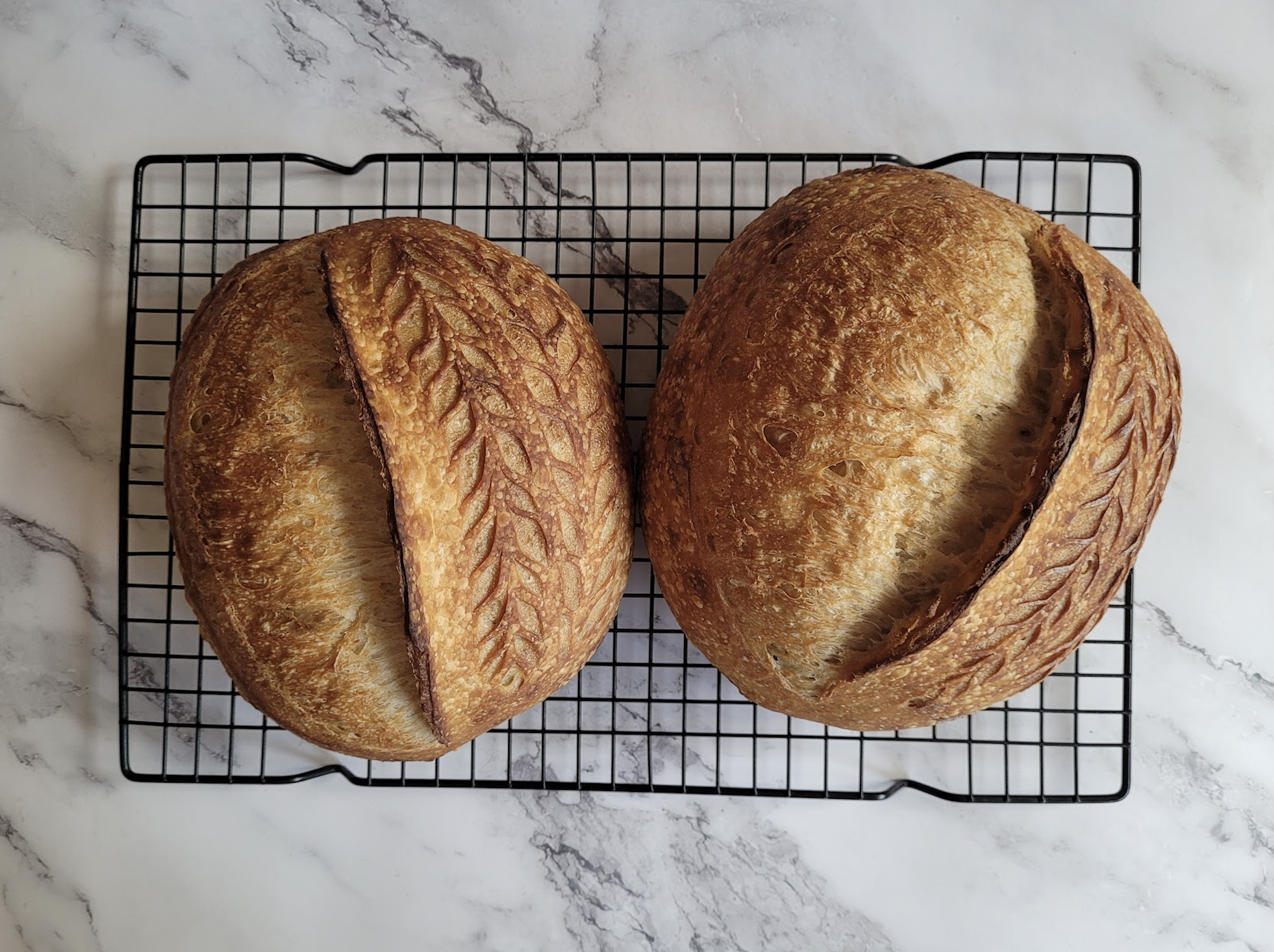 sourdough bread instagram social media influencer home baker content creator elvira @elleciously from singapore in asia 5