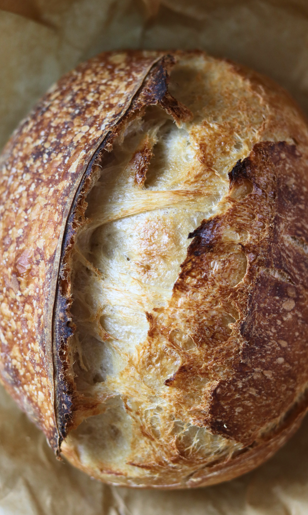 sourdough bread instagram social media influencer home baker recipe creator loaves for sale wisconsin united states mckenna @simplicityandastarter 12