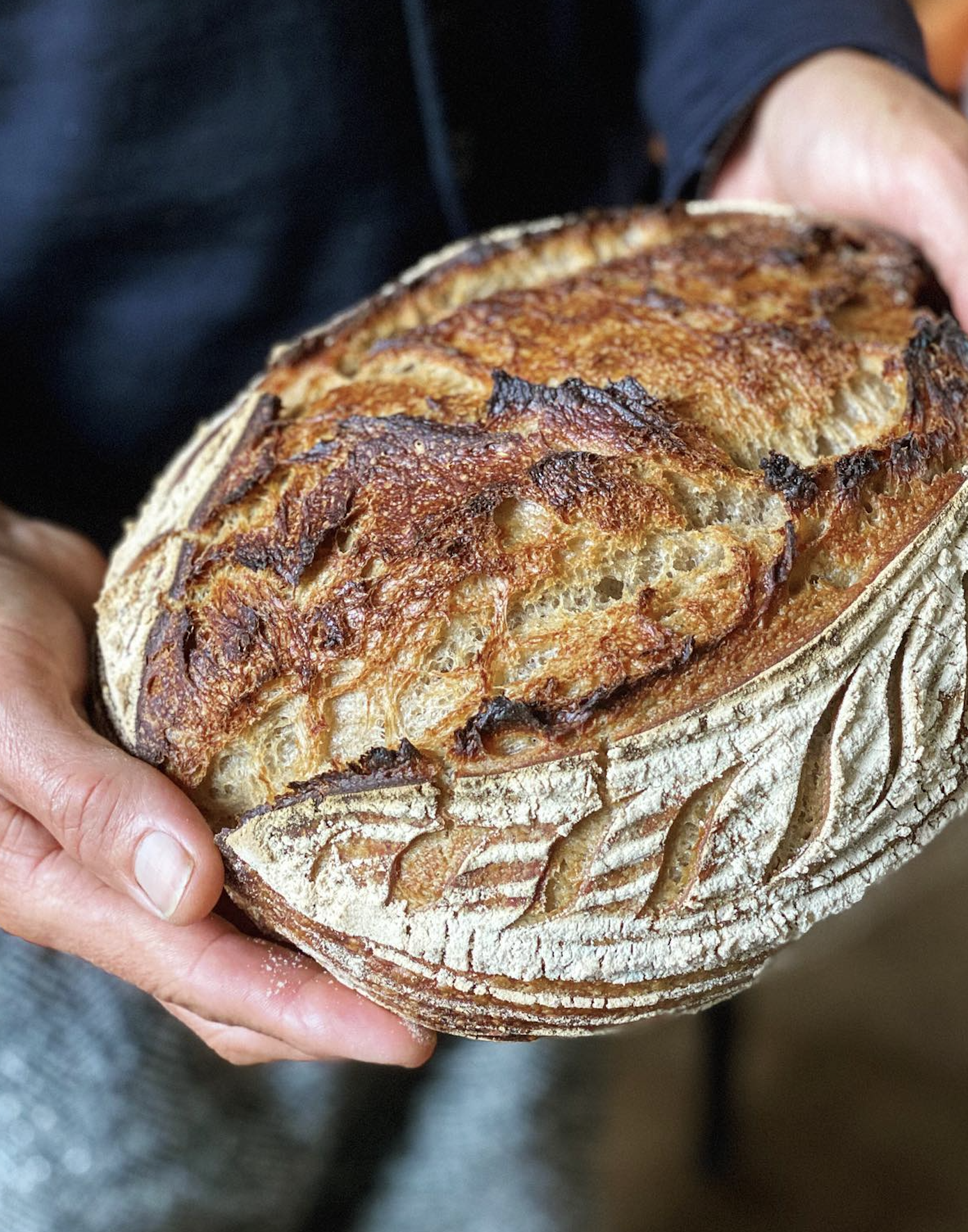 private personal chef social media influencer hercules noble from will it sourdough on instagram tiktok 12