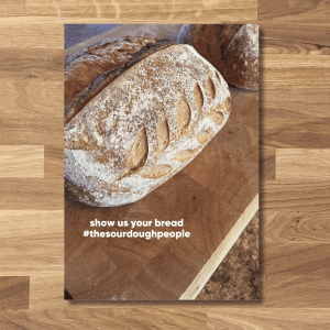 download easy to understand simple steps traditional sourdough bread baking recipe ebook pdf in english language based on first hand experience over the years 3