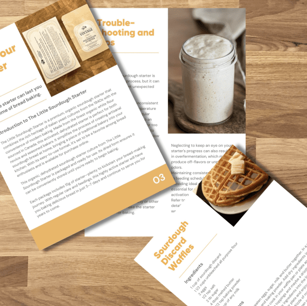 download easy to use sourdough starter guide ebook pdf to learn how to activate your starter culture bake bread discard recipes tools list and glossary of terms 3