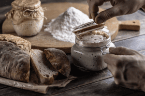 learn how to make and maintain a sourdough starter culture in canada considering local climate weather temperature humidity altitude water quality