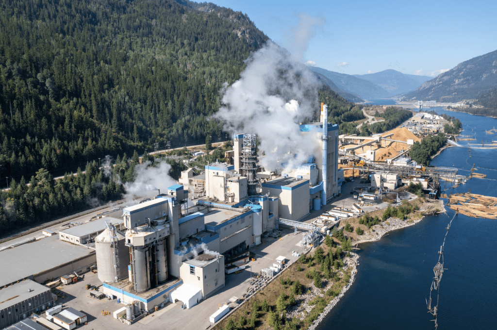 wood pulp banneton bread proofing basket production manufacturing suppliers makers in canada a call to action for the canadian wood pulp industry